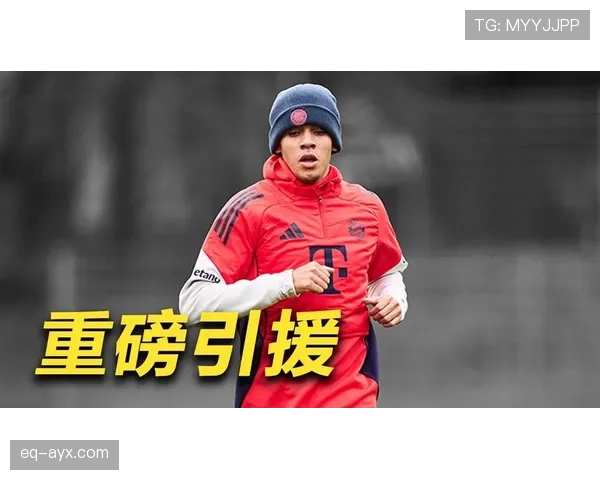 德甲豪门重磅引援,明星球员加盟引爆球迷期待 德甲豪门重磅引援,明星球员加盟引爆球迷期待