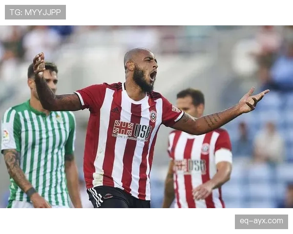 谢菲联主场表现强劲，持续追求胜利的竞争态势值得关注